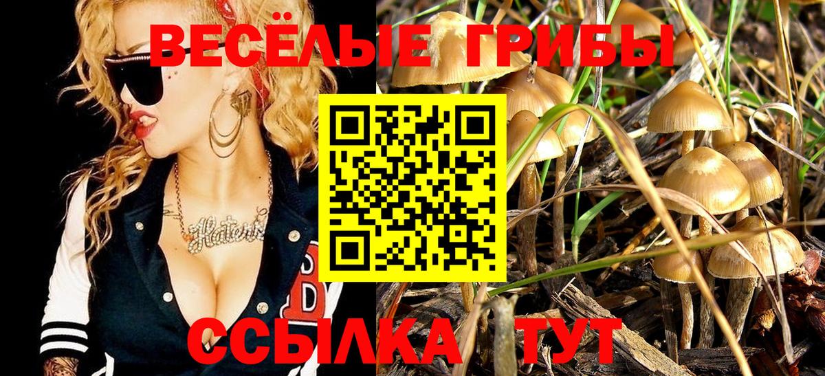 Псилоцибиновые грибы Psilocybe Усть-Илимск