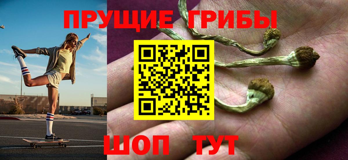 Галлюциногенные грибы прущие грибы  Вход с VPN  Усть-Илимск 